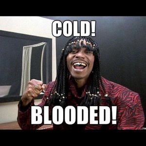 Meet your Posher, Vernon